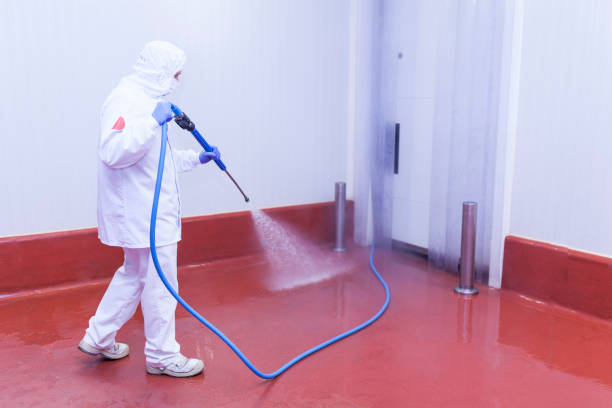 Best Building Exterior Washing  in Woodfin, NC